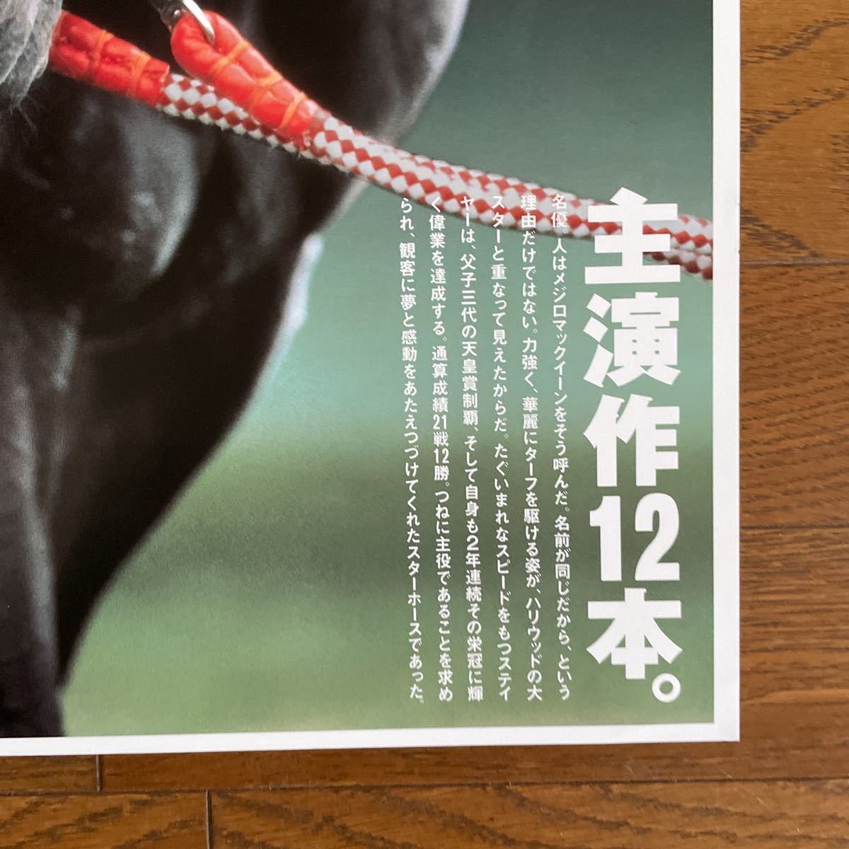 JRA ヒーロー列伝 No.34 メジロマックイーン B3 ポスターの入札履歴
