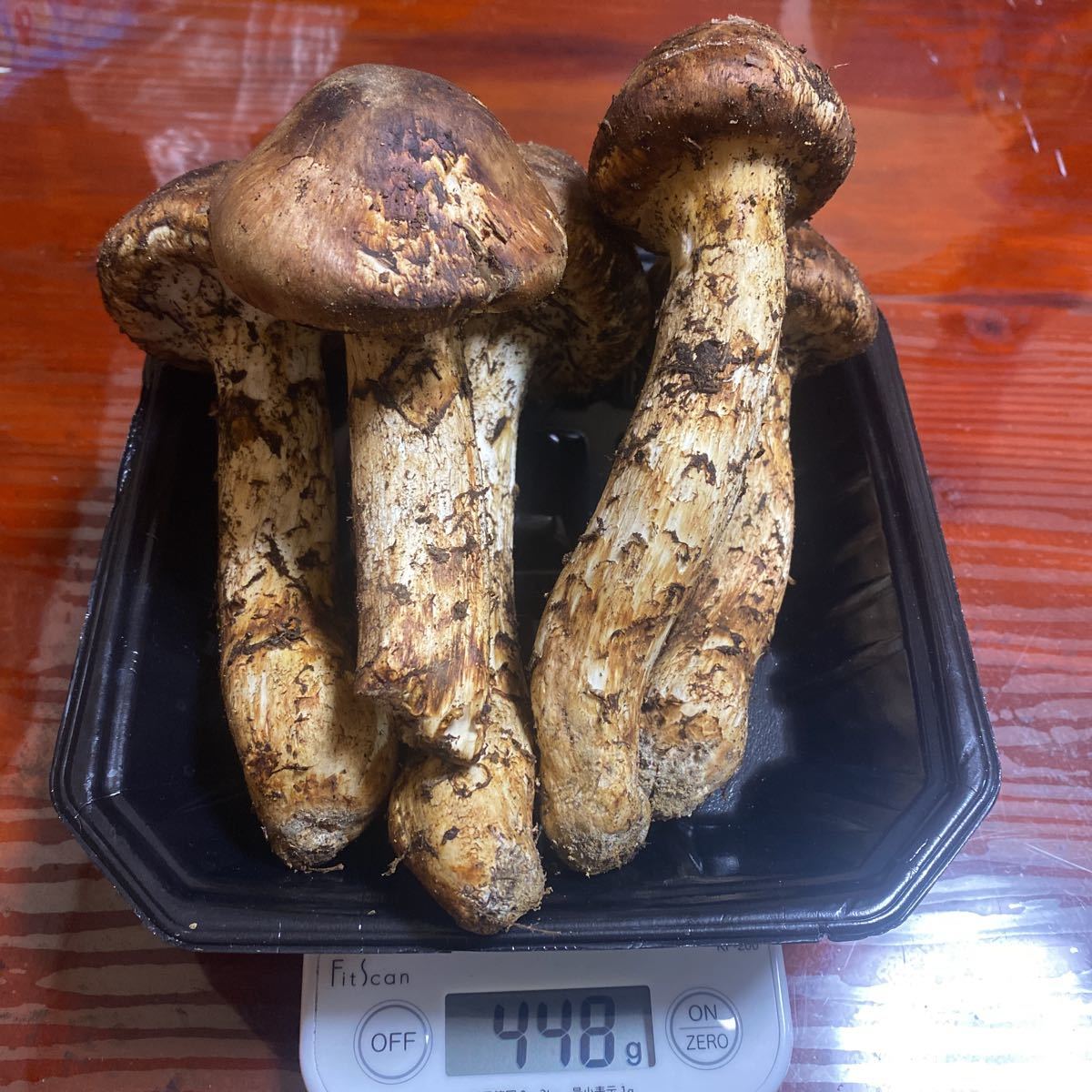 松茸 値段 一本 国産 国産松茸 開き 400g前後 1本から3本前後 松茸 値段 一本 国産 国産松茸 開き 400g前後 1本から3本前後