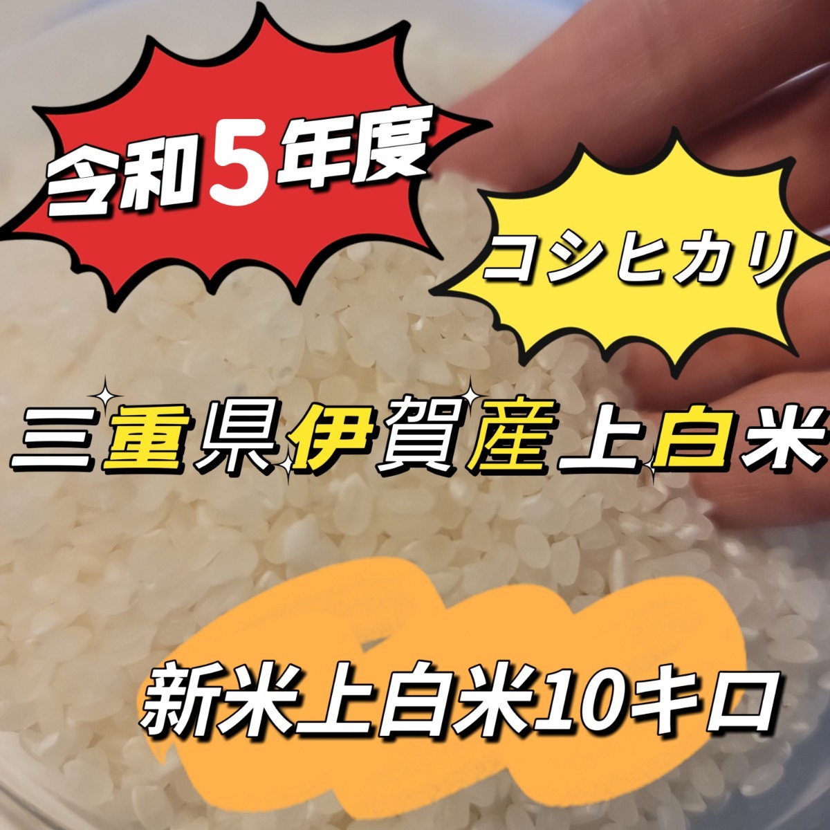 値下げ4200円→3999円！注文後に精米します！新米【令和5年産】三重県 伊賀米 コシヒカリ 10㎏ 