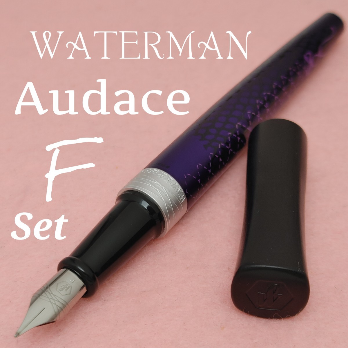 ウォーターマン オーダス 万年筆 字幅F コスメティック ホワイト