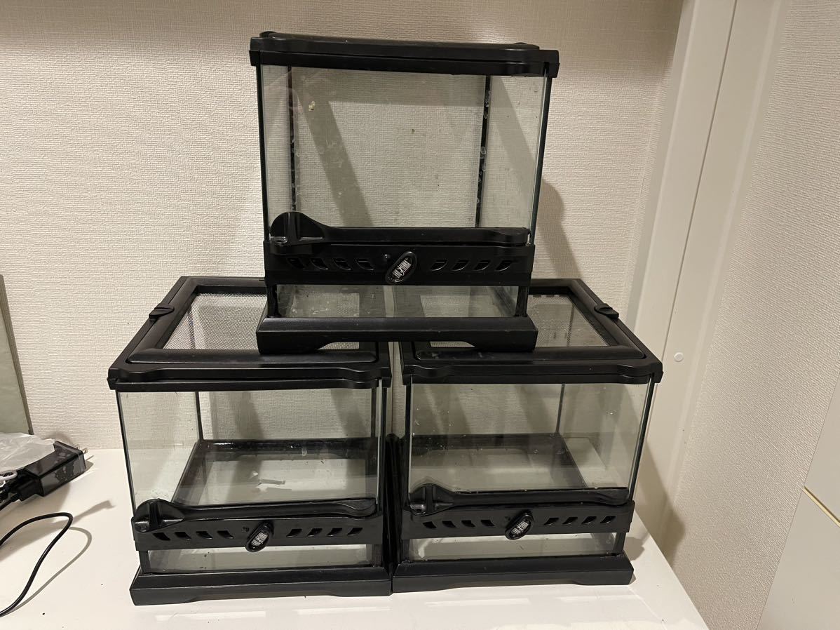 グラステラリウム ナノ キューブ nano 4台 エキゾテラ 飼育 ケージ