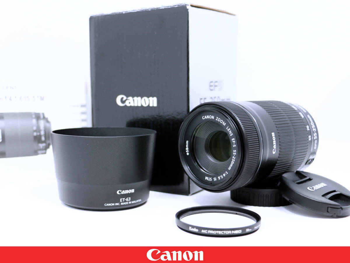 ☆極美品☆Canon キャノン EF-S55-250mm F4-5.6 IS STM◇元箱 取説