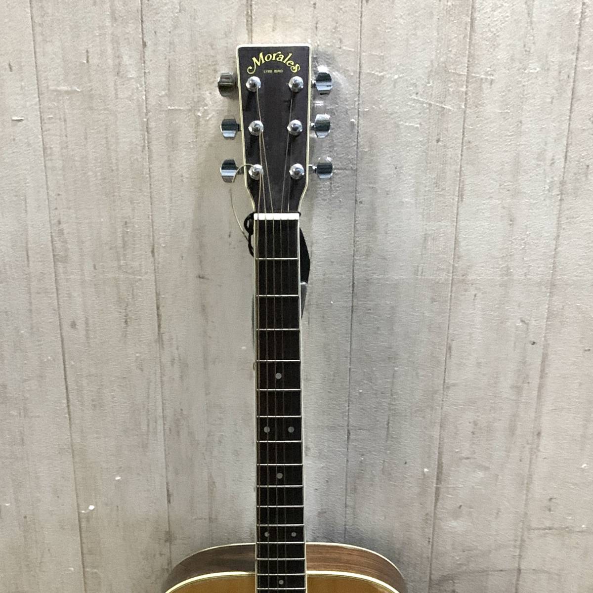 ▽Morales LYRE BIRD アコースティックギター ベージュ系 アコギ