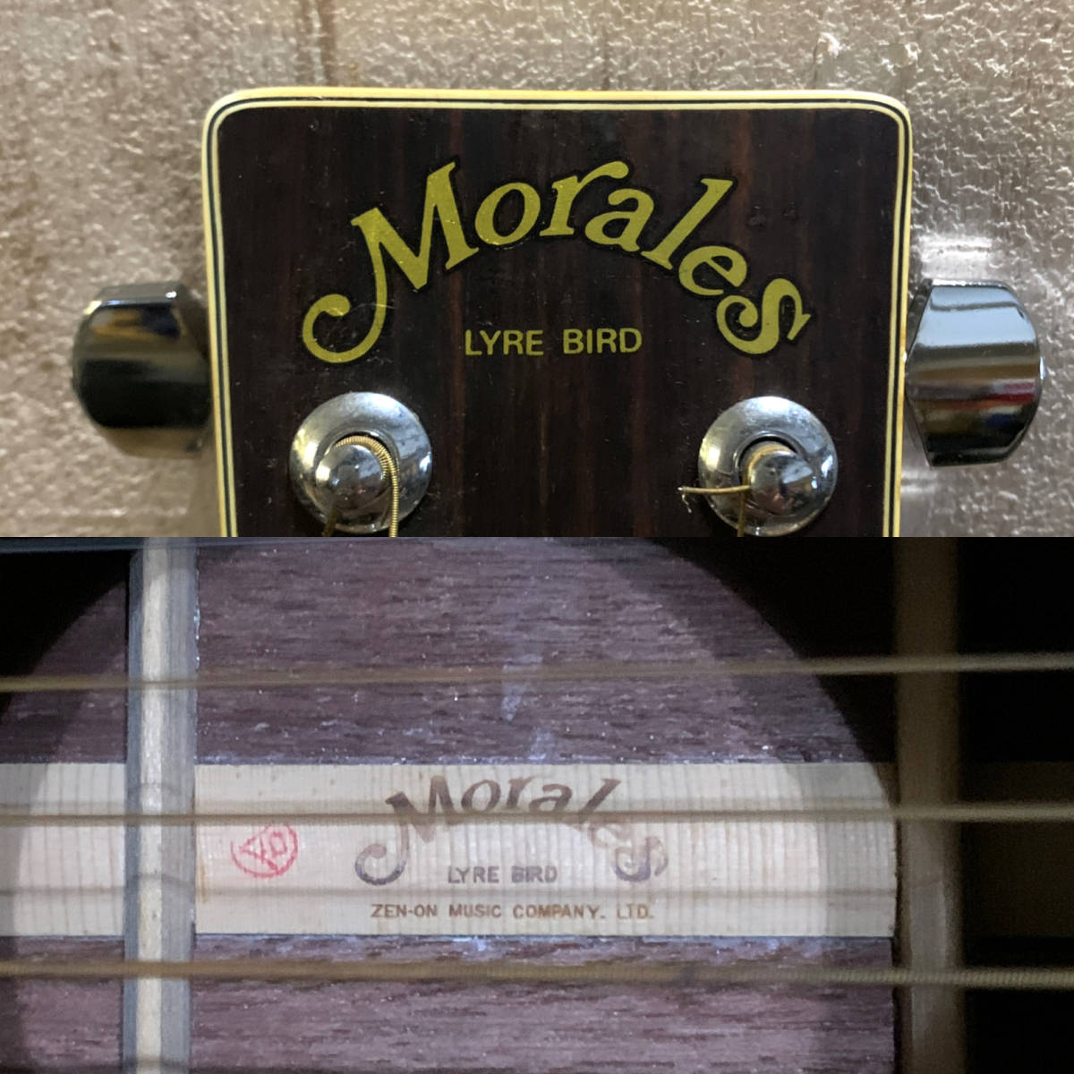 ▽Morales LYRE BIRD アコースティックギター ベージュ系 アコギ