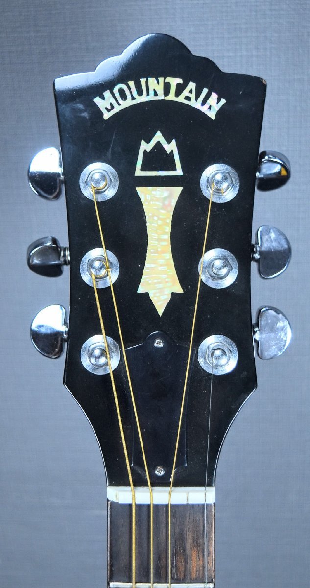 MOUNTAIN (マウンテン) アコギ W-500 アコースティックギター