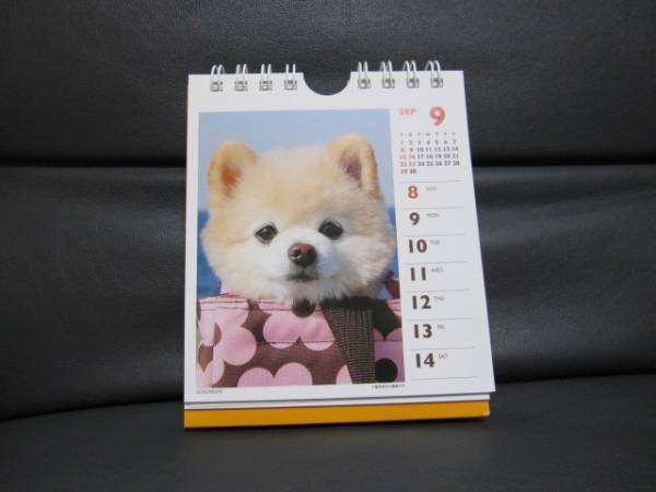 13年可愛い俊介カレンダー豆柴犬カットのポメラニアンわんこ 動物 売買されたオークション情報 Yahooの商品情報をアーカイブ公開 オークファン Aucfan Com 13年可愛い俊介カレンダー豆柴犬カットのポメラニアンわんこ 動物 売買されたオークション情報 Yahooの商品情報をアーカイブ公開 オークファン Aucfan Com