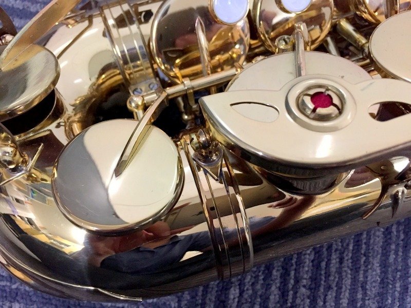 Kaerntner ケルントナー アルトサックス KAL-62 | サックス | 楽器