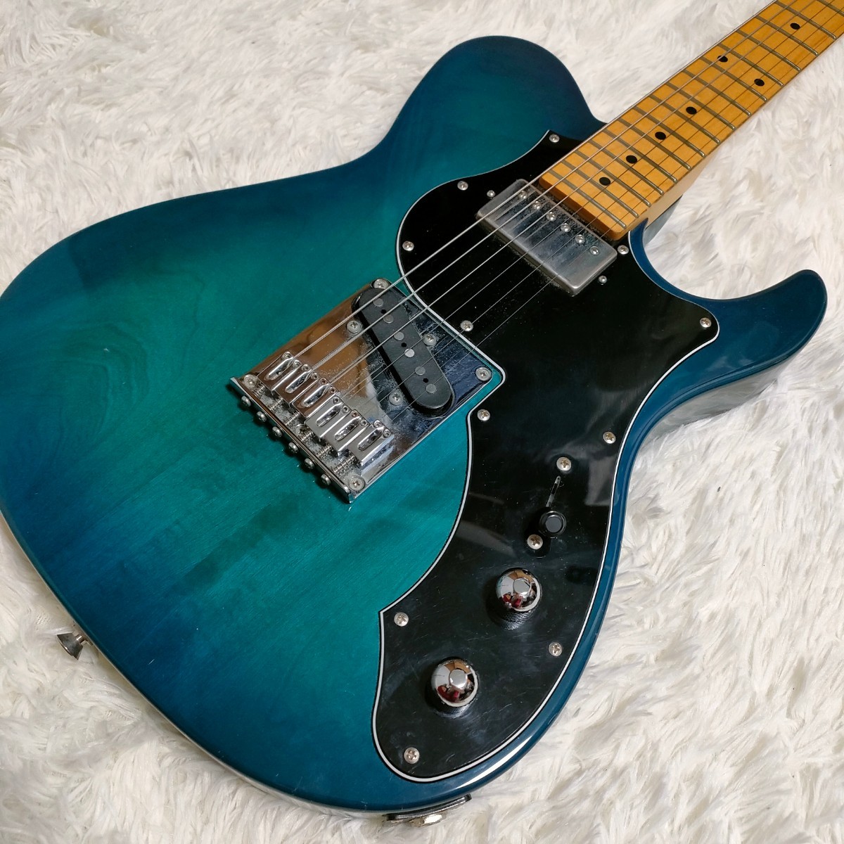 フジゲンFgN しょっぱかっ BIL-MH/BK/テレキャスター/sb 