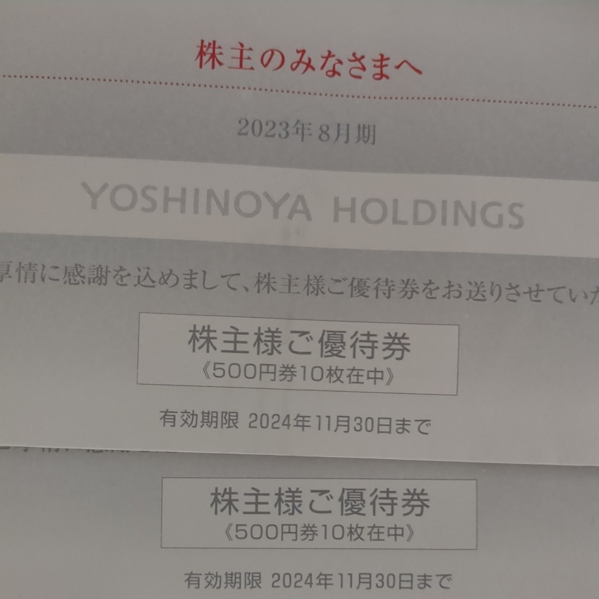『吉野家』 株主優待券 10000円分 （500円券×20枚） 有効期限2024年11月30日