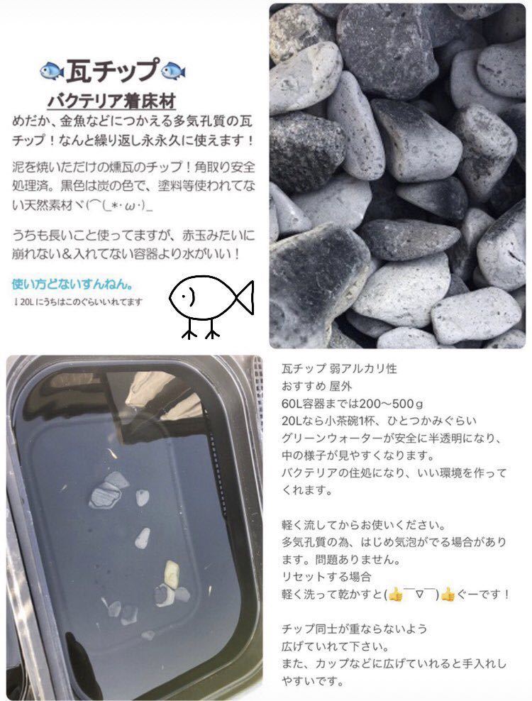 ★ハピネスめだか★ 瓦チップ10kg 期間限定セール！