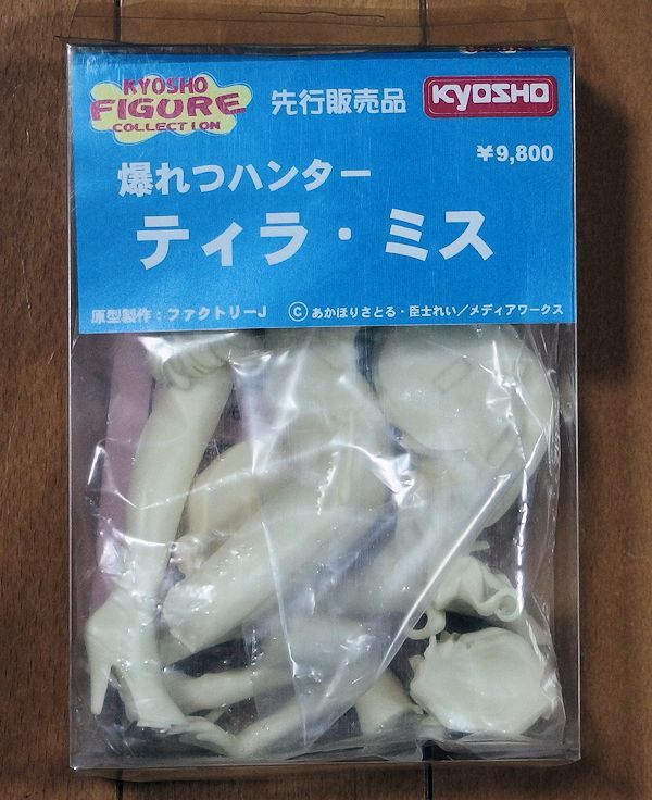 絶版ガレージキット ストック整理：ガレージキット 1/6 ティラ・ミス