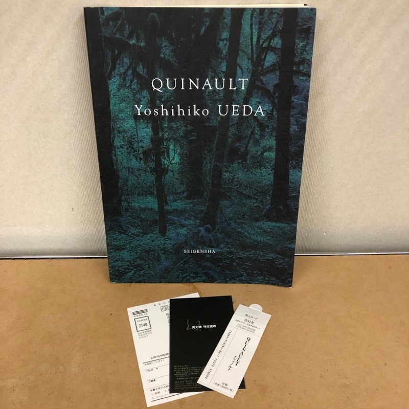 QUINAULT クゥィノルト 上田義彦写真集 青幻舎 231124SK510712 【公式