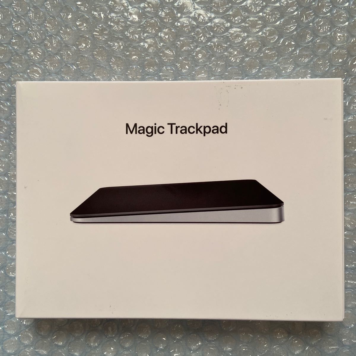 Apple Magic Mouse 2 スペースグレイ 正規品 （廃盤⁄希少） Apple