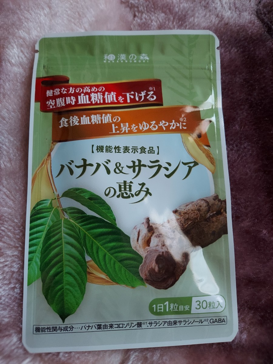 和漢の森 バナバ＆サラシアの恵み 30粒 機能性表示食品 錠剤 GABA 空腹時血糖値を下げる 血圧 疲労感を緩和
