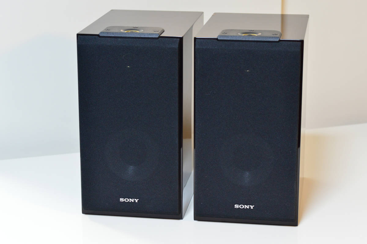 SONY SS-HW1傷あり