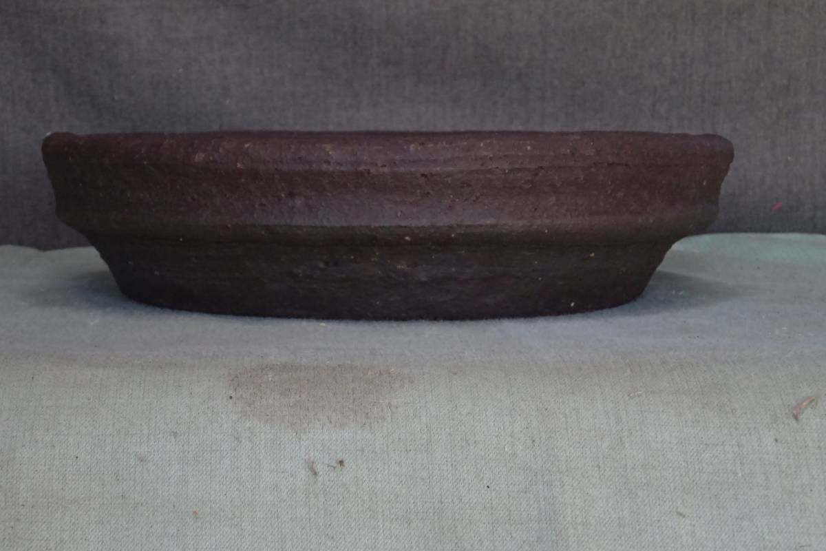 s1078503005.1