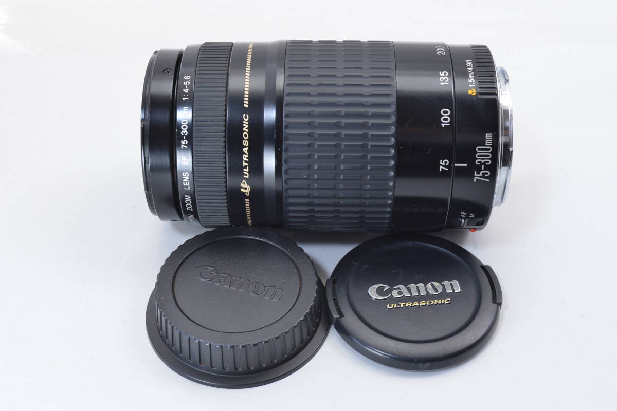 Canon 75-300mm Lens EF f⁄4-5.6 USM III Zoom Telephoto IS F4-5.6