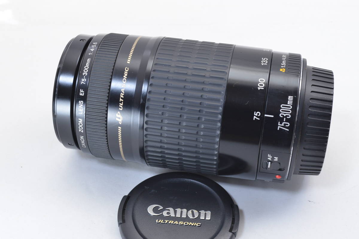 Canon 75-300mm Lens EF f⁄4-5.6 USM III Zoom Telephoto IS F4-5.6