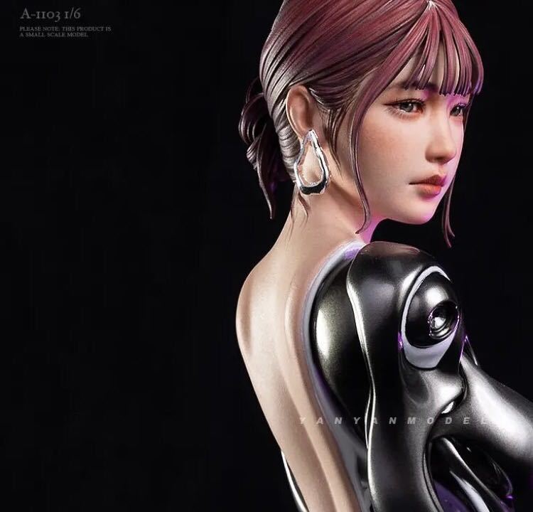 女性フィギュア　ガレージキット　機械少女　1/6スケール　未組み立て　未塗装　レジンキット　素体ヘッド_1