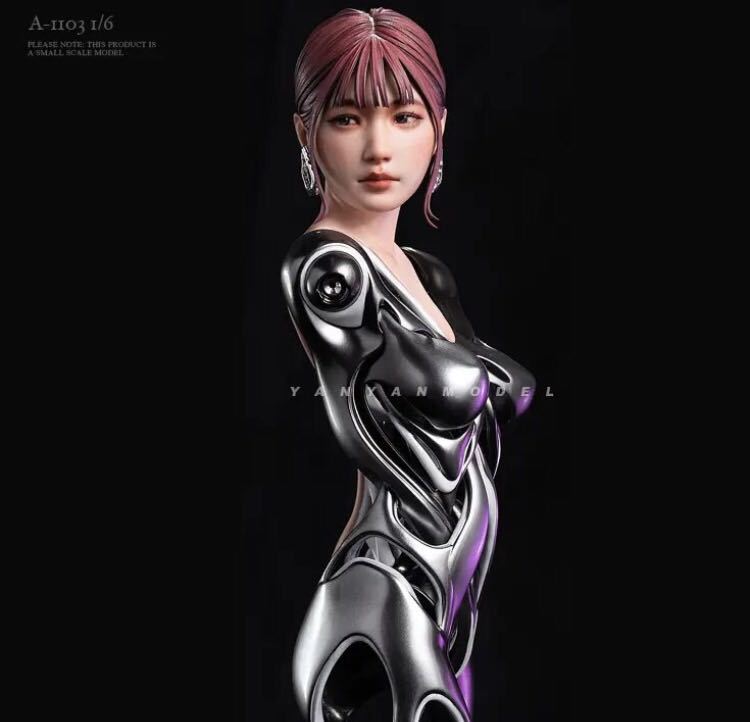 女性フィギュア　ガレージキット　機械少女　1/6スケール　未組み立て　未塗装　レジンキット　素体ヘッド_2