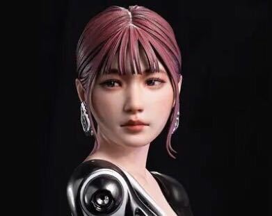 女性フィギュア　ガレージキット　機械少女　1/6スケール　未組み立て　未塗装　レジンキット　素体ヘッド_3