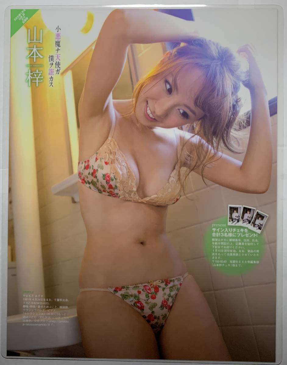【大量】グラビアアイドル・山本梓さん 雑誌切り抜き 厚手ラミネート加工】山本梓 水着 A4変サイズ 雑誌切り抜き 4ページ