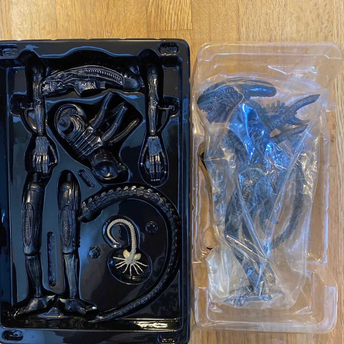 フィギュア エイリアン　海洋堂リボルテック　メディコム　RAH X-PLUSエクスプラス　青島スカイネット_7