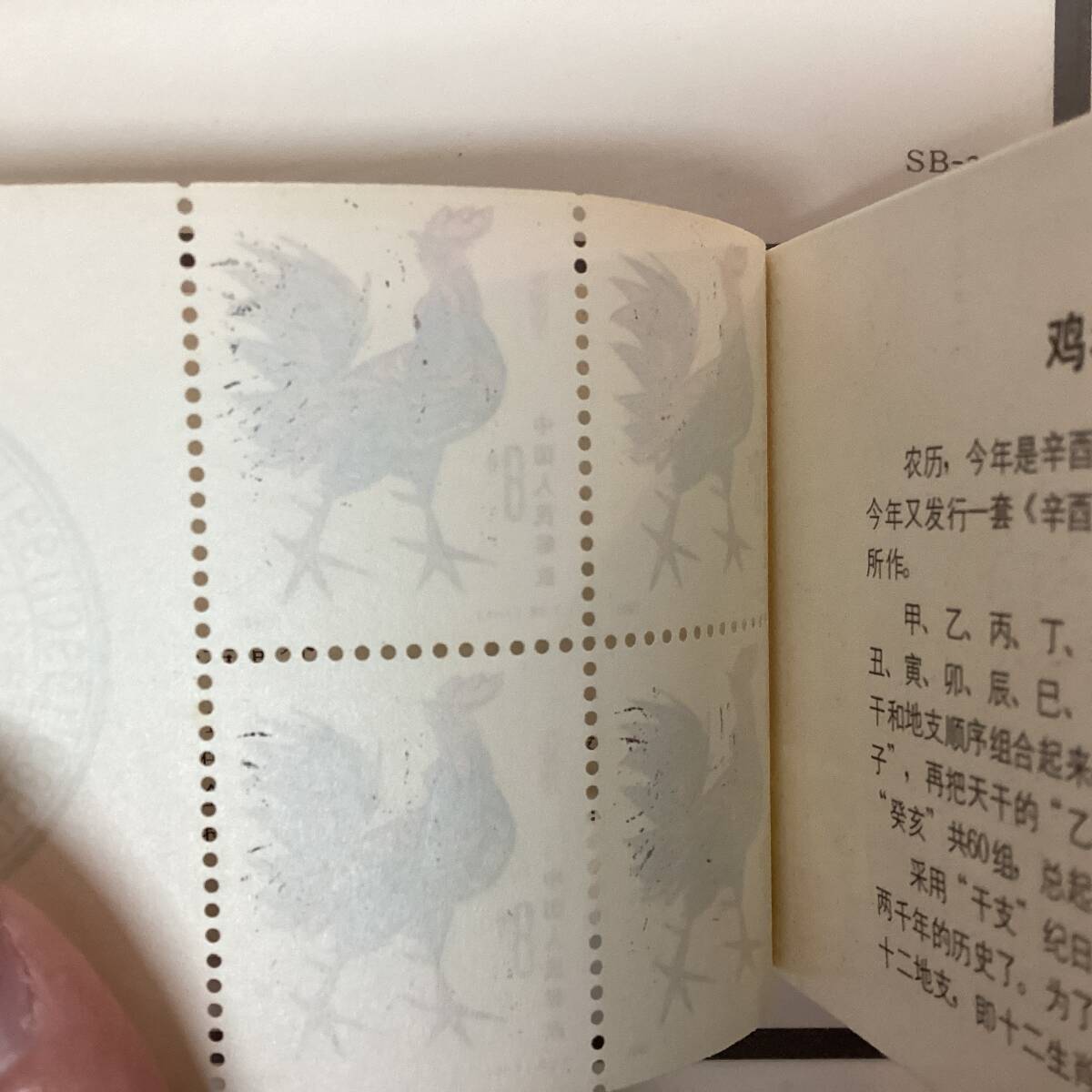 3351□ 中国切手 8分 T58 鳥/鶏/酉/ニワトリ 1981年 切手帳 中国人民