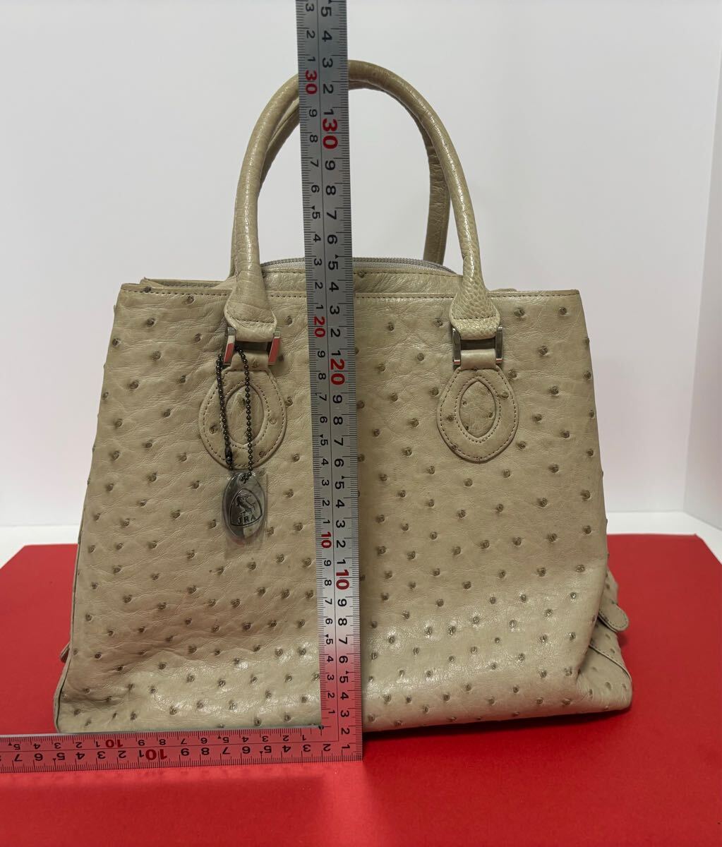 オーストリッチ OSTRICH CELENCEE JRA バッグ ハンドバッグ 本革