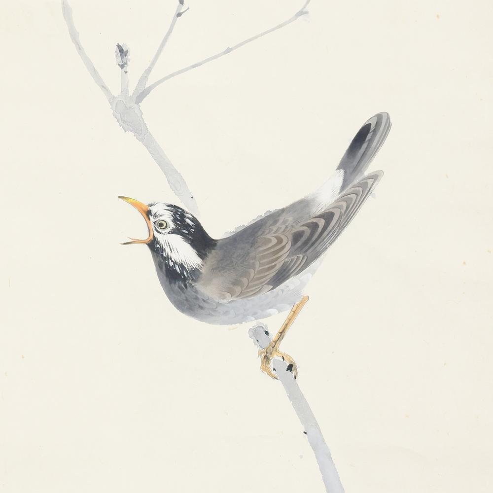 真作】【WISH】堅山南風「晴秋鳴禽」日本画 掛軸 共箱 ◇花鳥図名品 〇