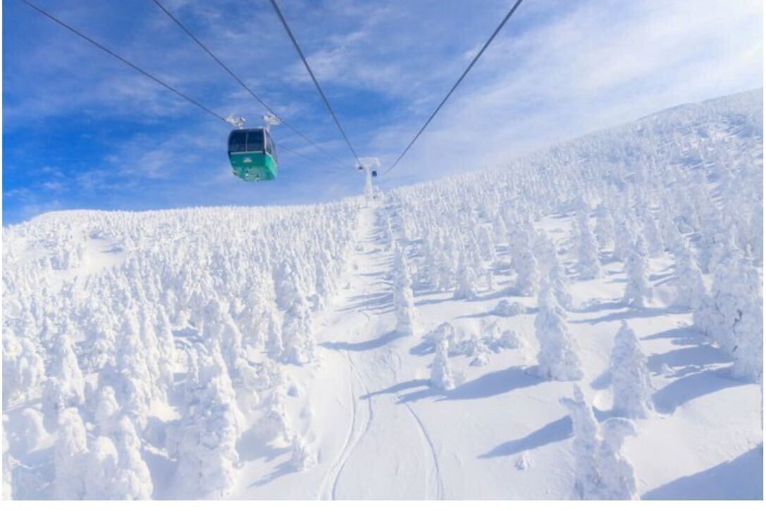 フリー素材 1円 即決 早い 24_1