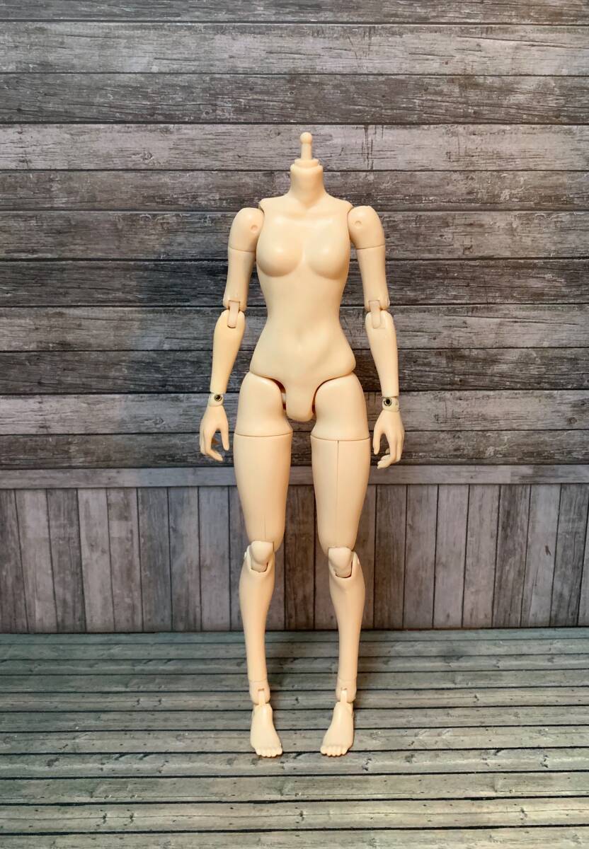 フィギュア 1/6 ホットトイズトゥルータイプ コーカシアン女性素体