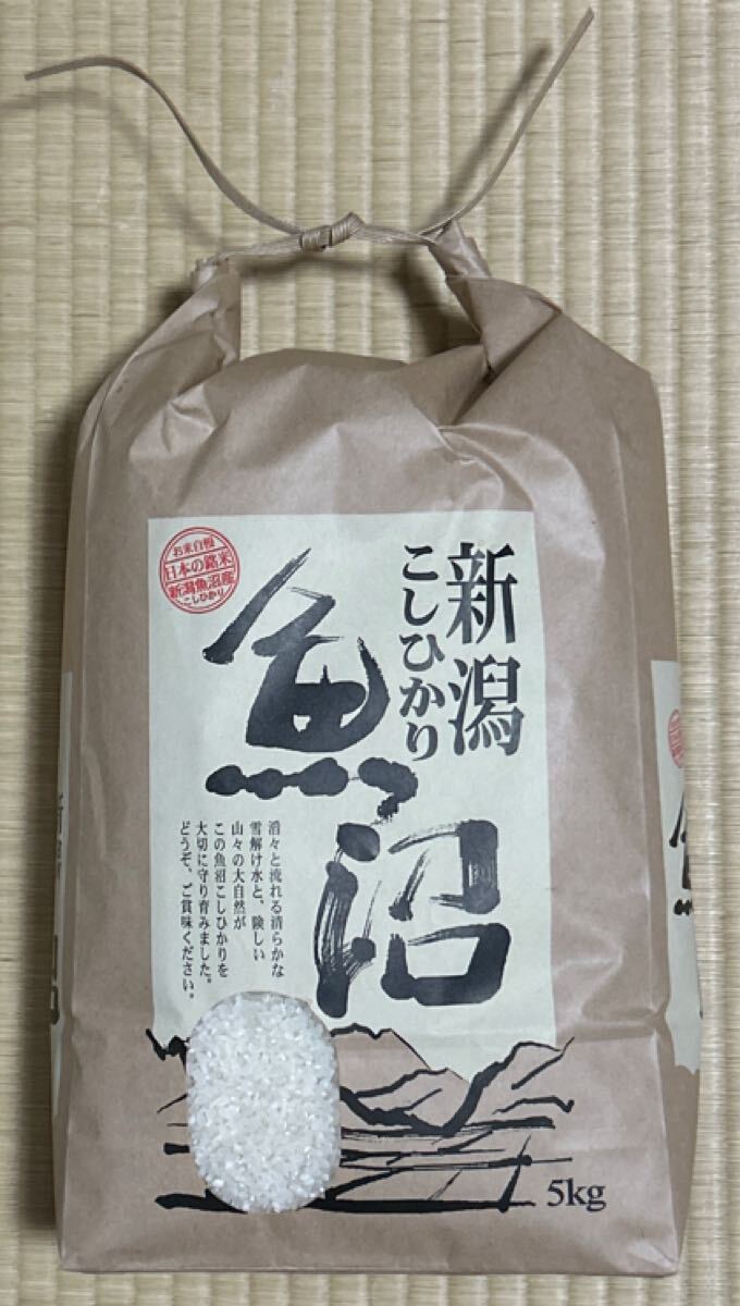 令和6年新米 魚沼産コシヒカリ白米5kg☆生産者直送_1