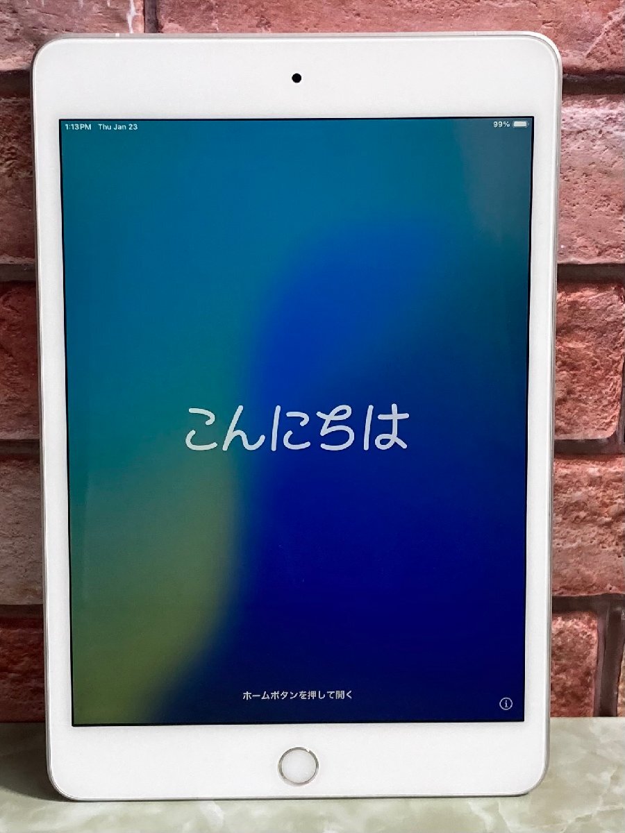 1円～ ○Apple iPad mini 第5世代 / Wi-Fi + Cellular / 256GB