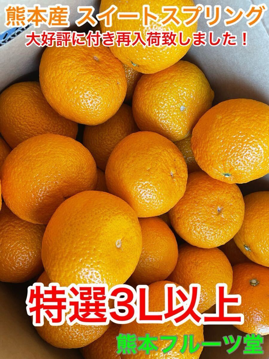 味に当たりハズレなし！見た目を裏切る美味しさ【熊本産スイートスプリング】3Lサイズ約5kご家庭用　熊本フルーツ堂55_3