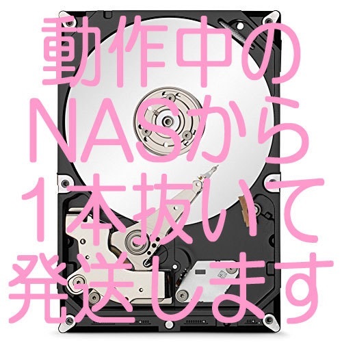 【NAS起動用HDD】I-O DATA LANDISK HDL2-H2 起動用HDD(1TB)_1