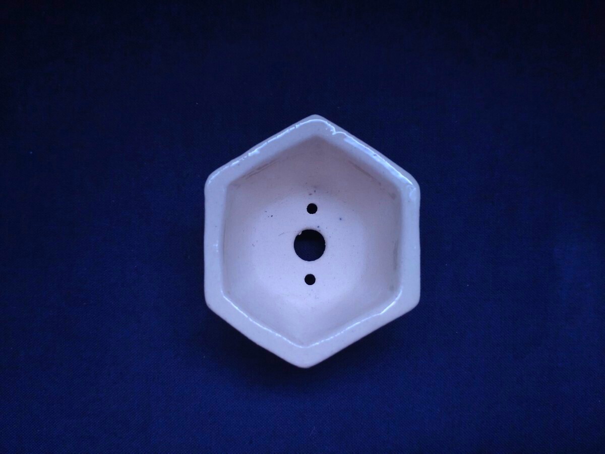 雰囲気抜群！墨弾き！紀伊《染付六角鉢》 現代小鉢作家展入選作家 紀伊 豊田美保子 絵付鉢 墨絵付 墨弾 _7