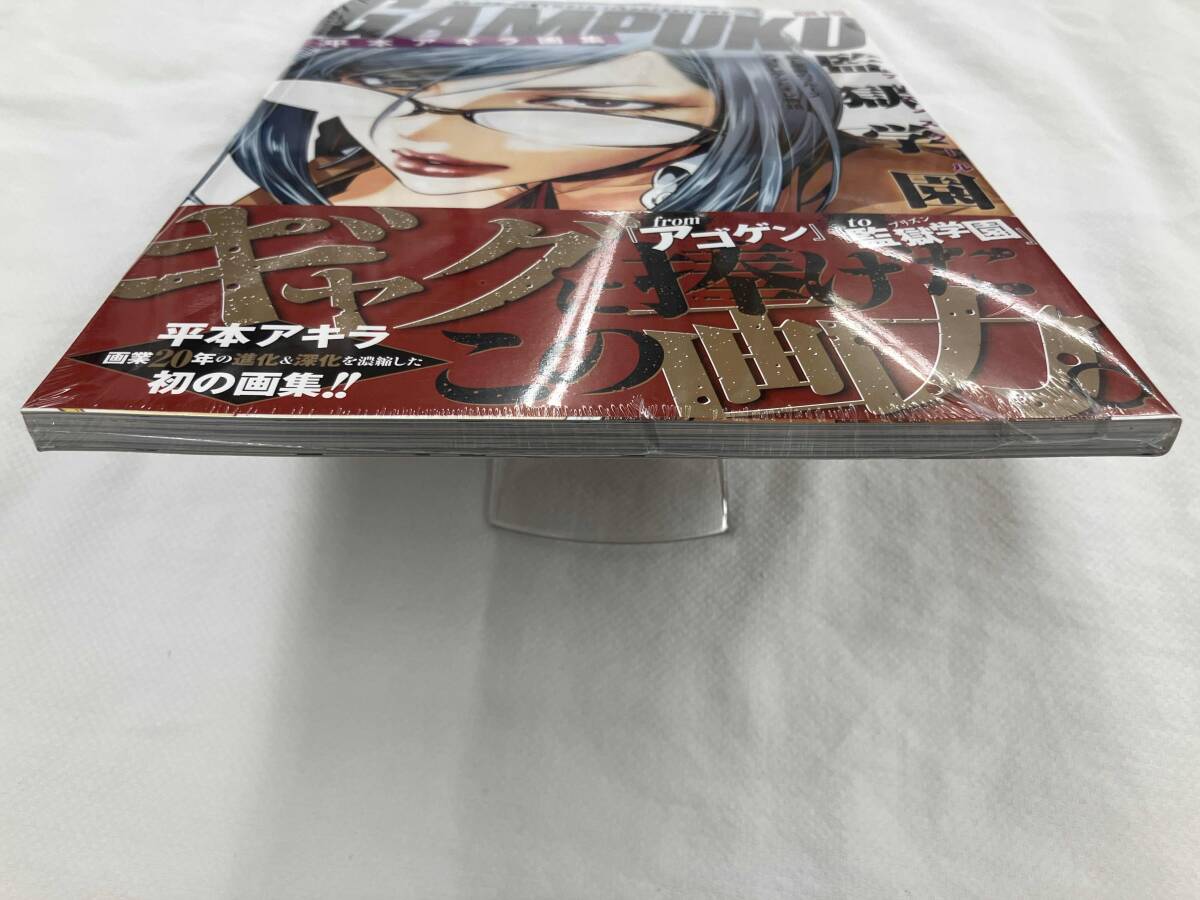 未開封】平本アキラ画集 GAMPUKU 眼福 平本アキラ(原画、設定資料集