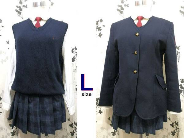 L 鹿児島錦江湾高校 ミニスカ風 校章付き女子ブレザー制服 コスプレ衣装 売買されたオークション情報 Yahooの商品情報をアーカイブ公開 オークファン Aucfan Com
