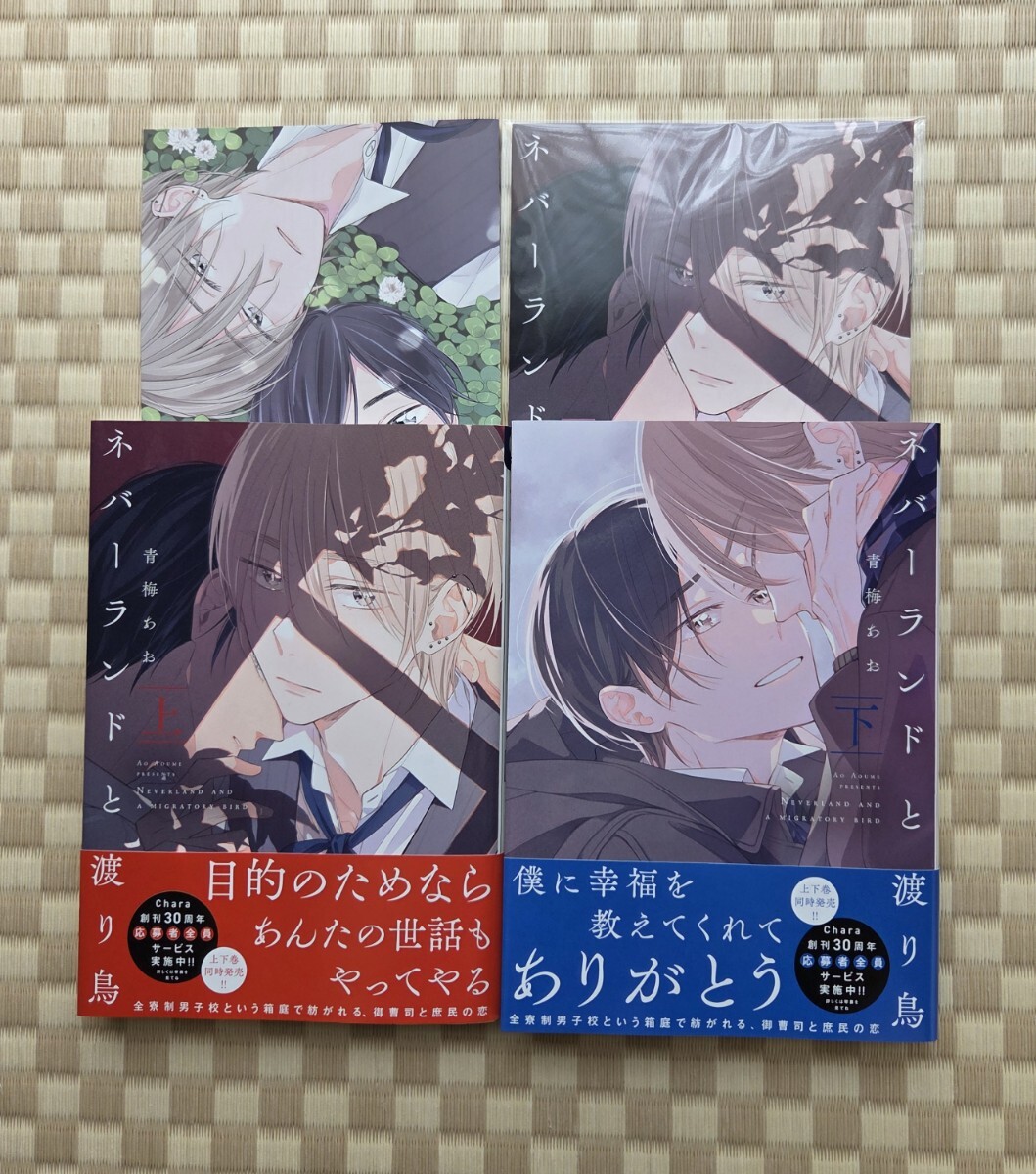 ネバーランドと渡り鳥（上・下）】青梅あお☆応募券あり・コミコミ