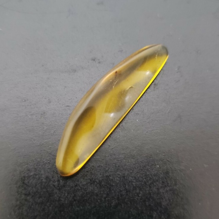 虫入り琥珀 ビルマ琥珀 ミャンマー産 コハク 白亜紀 昆虫 アンバー 標本 No.2_2