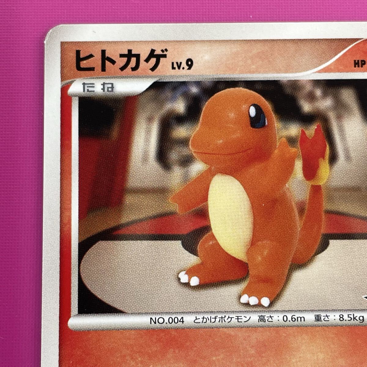 未使用 ポケモンセンター 10周年 10th プロモカード ポケモンカード