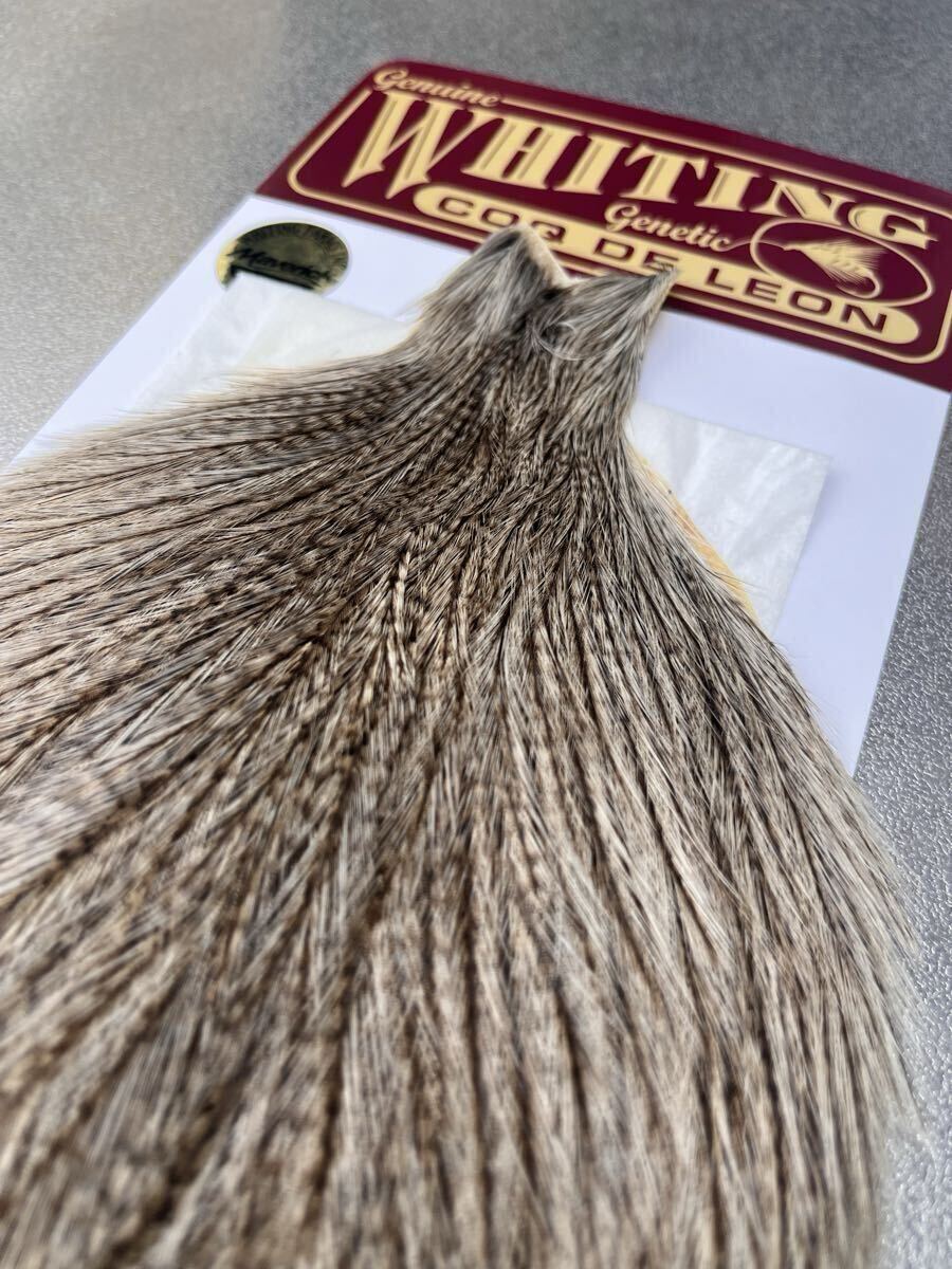 コックデレオン　ダークパルド　 Whitingコックハックル　ホワイティング_1