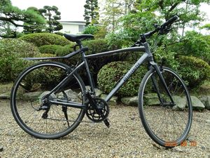 Bianchi RomaⅡ　ビアンキローマⅡ（手渡し可能な方もしくは引取手段がある方のみ）