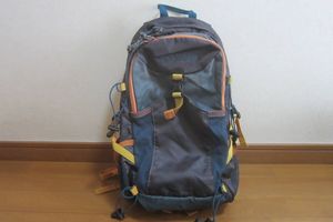 Columbia コロンビア Castle Rock20 キャッスルロック 20L リュックサック デイパック バ