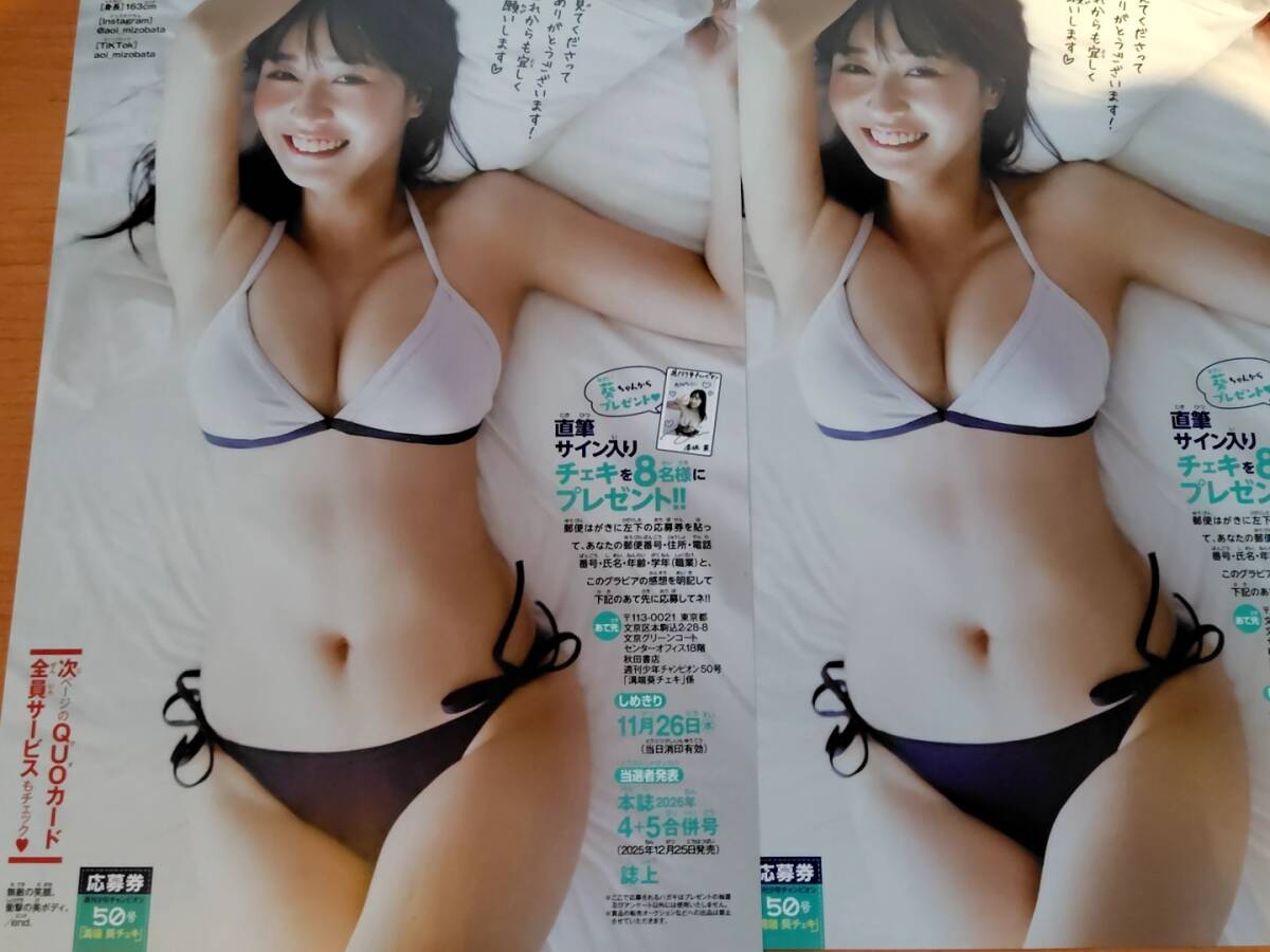 溝端葵さん　直筆サイン入り水着チェキ 2枚セット】溝端葵 少年チャンピオン サイン入り チェキ 応募券 懸賞