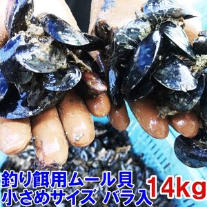 小さめサイズ 釣り餌に★ムラサキイガイ小さめ１４ｋｇ 冷凍品イガイ カラス貝 ムール貝