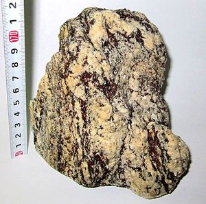 南極の石の値段と価格推移は？｜5件の売買データから南極の石の価値が