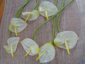 破格在庫処分！アンスリウムWH７本髪飾りに！造花