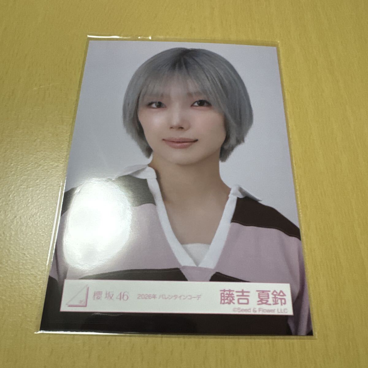 櫻坂46 藤吉夏鈴【 2026年 バレンタインコーデ 】ランダム生写真